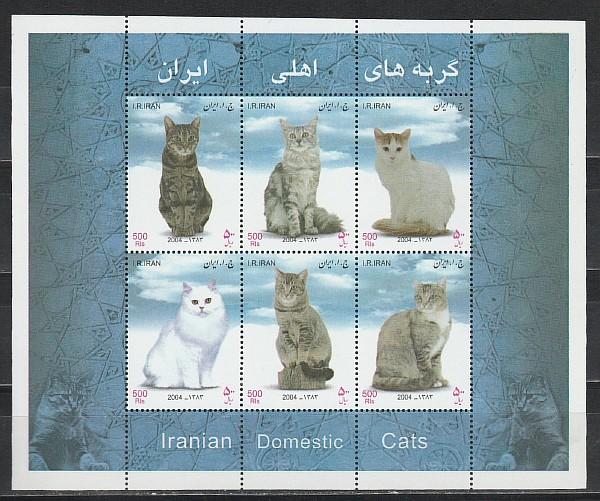 Иран 2004, Кошки, блок